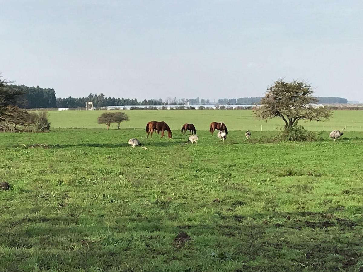 Estancia La Violeta Chajarí エクステリア 写真